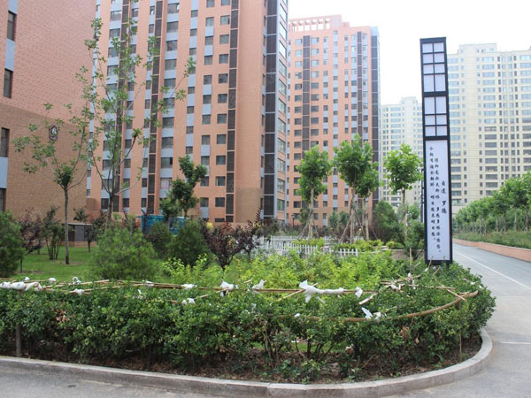 當(dāng)代國際花園